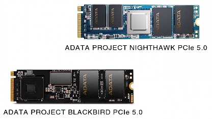 Nighthawk Prototype SSD Review
