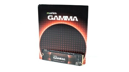 Gamma SSD Review